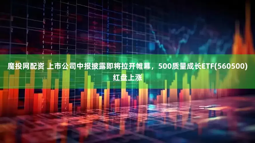 魔投网配资 上市公司中报披露即将拉开帷幕，500质量成长ETF(560500)红盘上涨