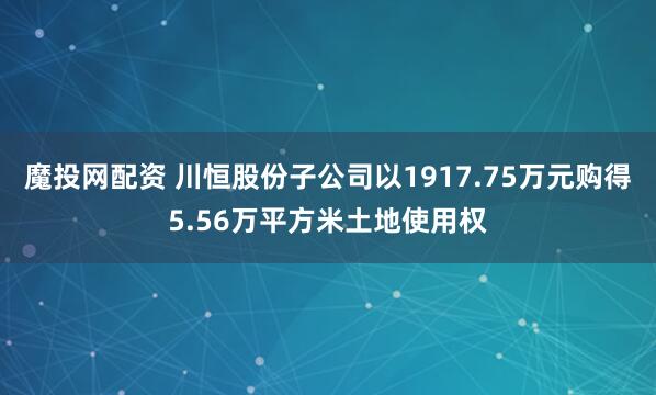 魔投网配资 川恒股份子公司以1917.75万元购得5.56万平方米土地使用权